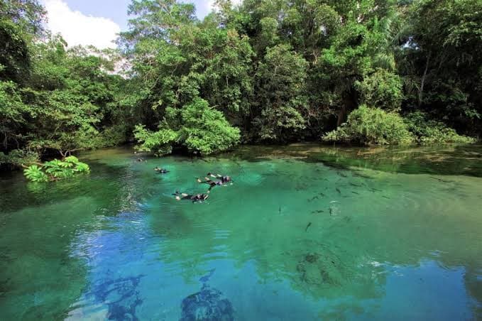 Flutuação no Rio da Prata