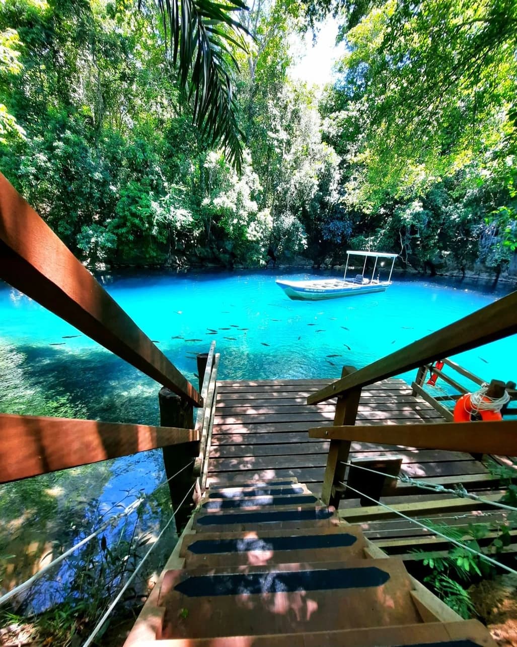 Essência de Bonito: Águas Cristalinas & Emoção no Formoso