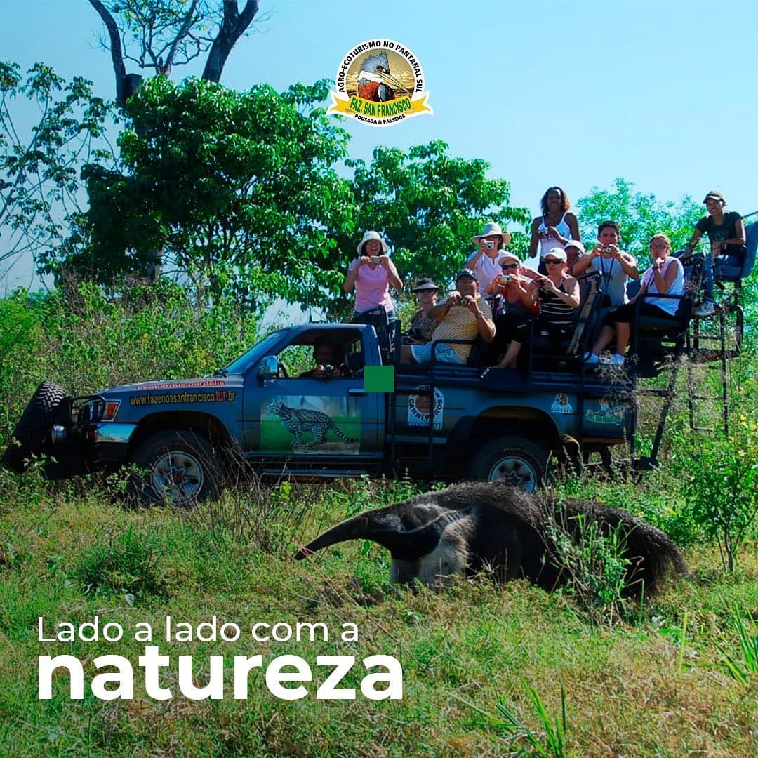 Pacote Visite Bonito e Pantanal - 05 dias e 04 noites