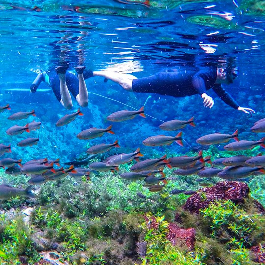 Especialistas em Bonito e ecoturismo